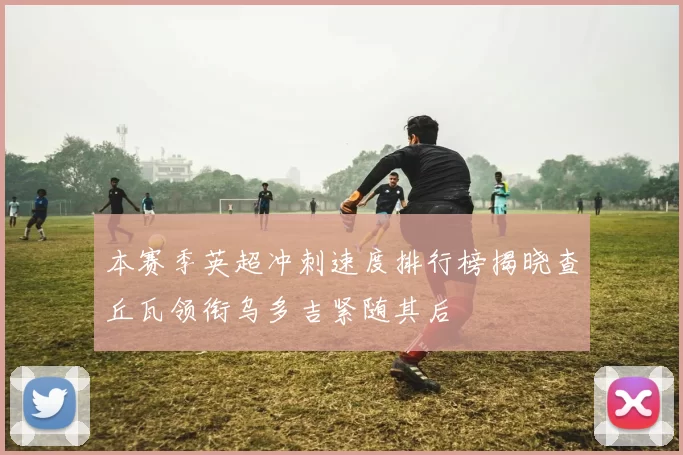 本赛季英超冲刺速度排行榜揭晓查丘瓦领衔乌多吉紧随其后